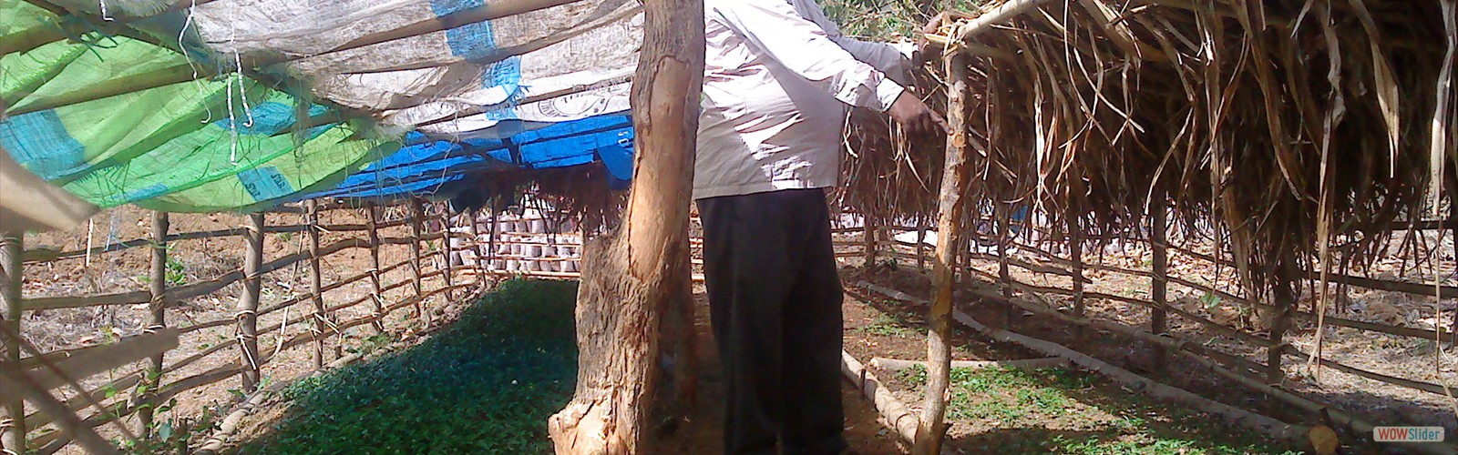 Shelline Horticulture Private Nursery